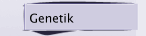 Genetik